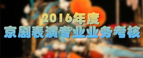 插韩国美女bb国家京剧院2016年度京剧表演专业业务考...